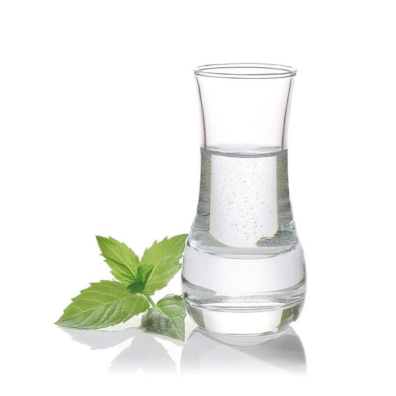 Spearmint (Mentha Spicata) Essential Oil, 500 ml