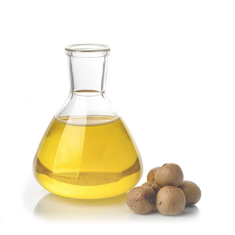 Kukui Nut Oil, Refined, 500 ml