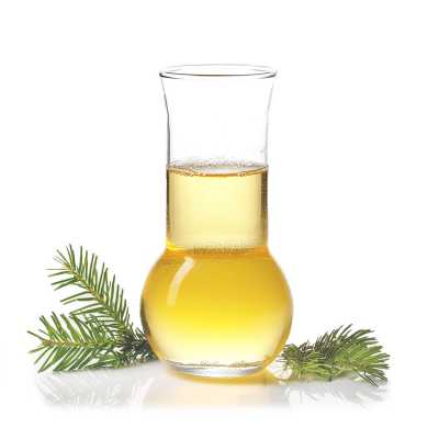 Spruce Hemlock Essential Oil, 500 ml