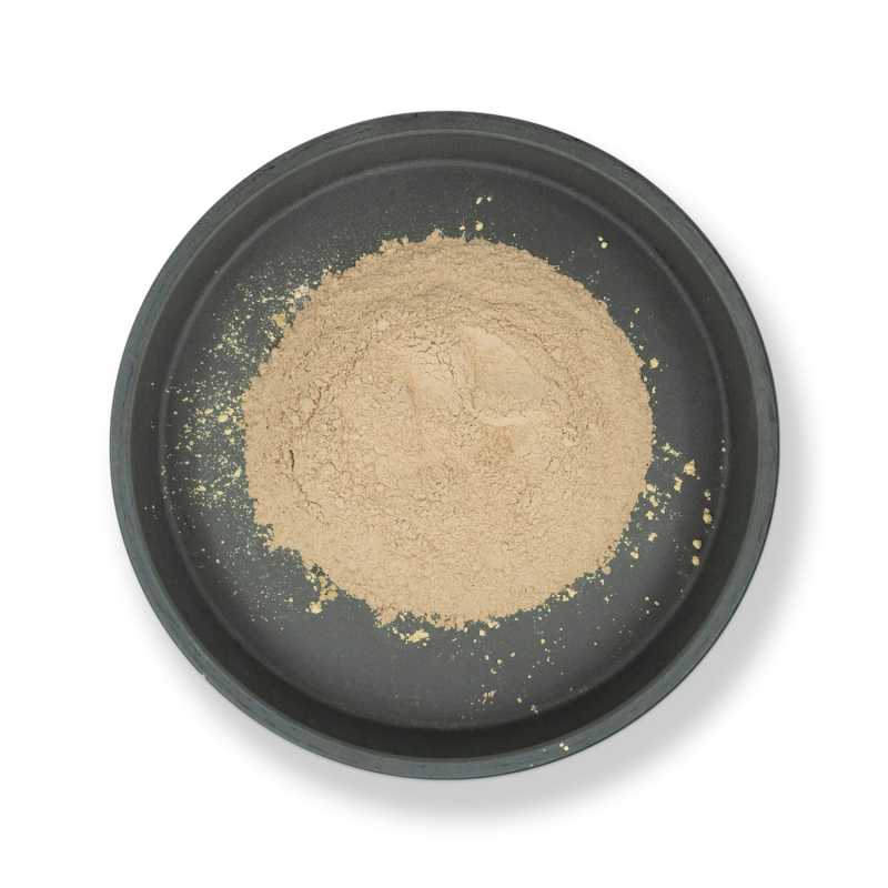 Aloe Vera 200:1 powder, Organic, 10 g