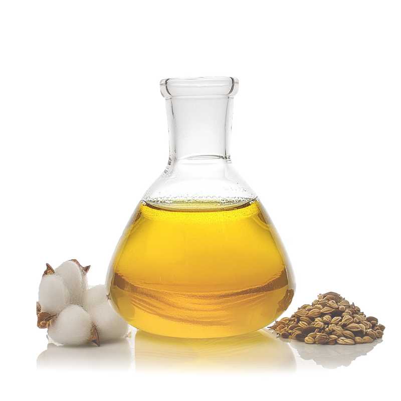 Cotton Seed Oil, Refined, 20 l